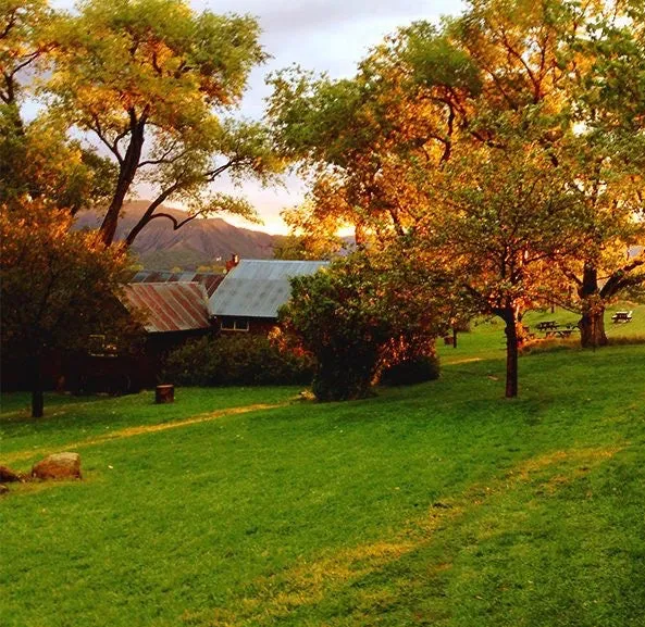 Blooming Rooted: Herbalism Retreat, Summer Solstice