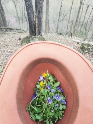Herbs for Springtime-Online Class